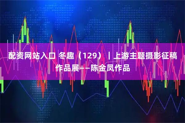 配资网站入口 冬趣（129）｜上游主题摄影征稿作品展——陈金凤作品